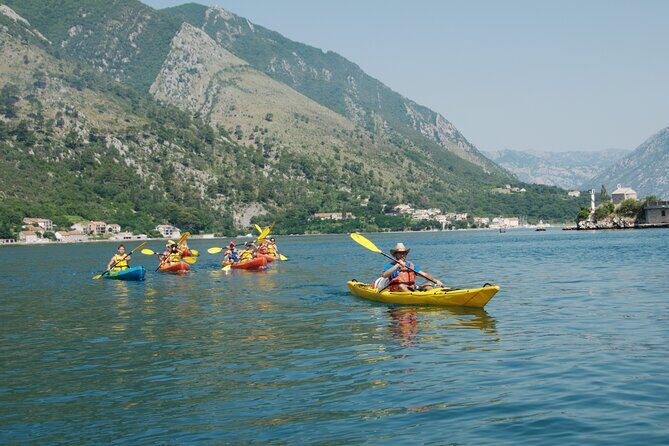 Bay of Kotor: 2.5-Hour Kayak Tour - Analyzing the Value