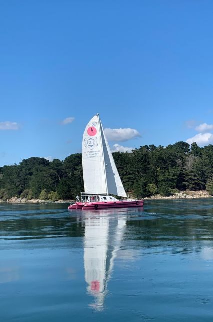 Bay of Quiberon or Morbihan gulf: Evening 2 hours navigation - A Detailed Look at the Experience