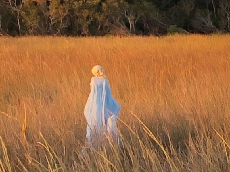 Bay Saint Louis, MS: The Haunted Bayou Cruise - Who Will Love This Tour?