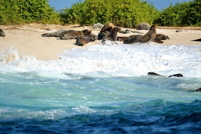 Bay Tour in Santa Cruz - Galapagos Islands - Key Points