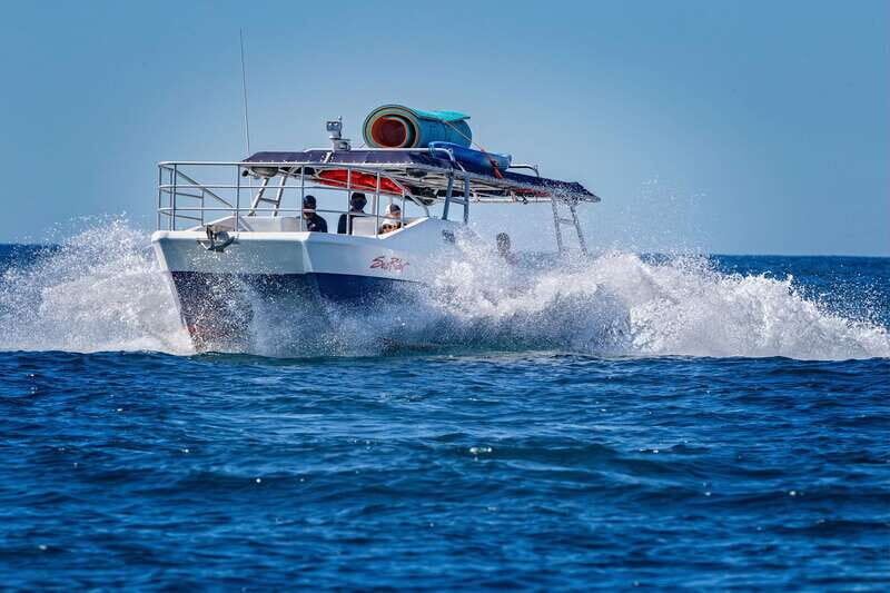 Bay trip and the Arch of Cabo San Lucas - Discover the Majesty of Cabo San Lucas: Bay Trip & the Arch