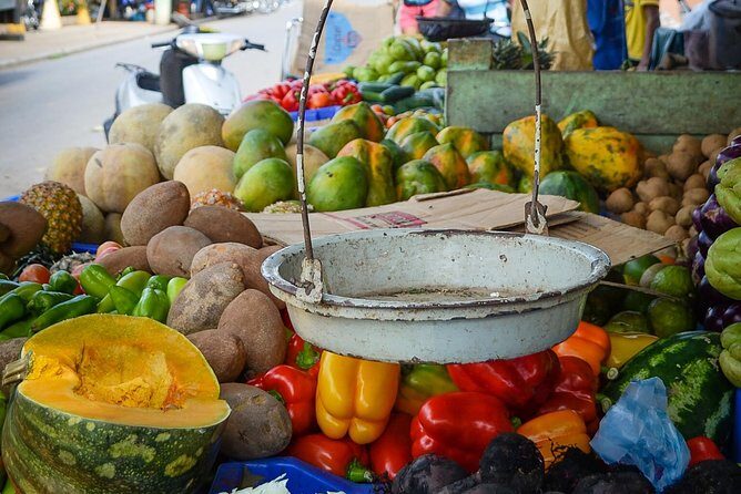 Bayaguana Countryside Safari from Juan Dolio/Boca Chica - Final Thoughts: Is it Worth It?