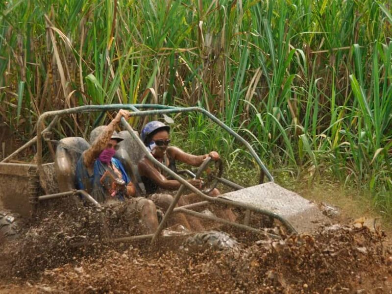 Bayahibe and Altos de Chavón: Guided 5-hour Buggy Tour - Who Should Consider This Tour?