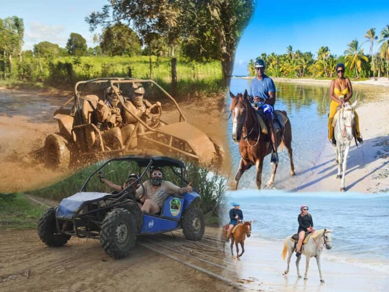 Bayahibe: Buggy and Horseback Riding Tour - An In-Depth Look at the Bayahibe Buggy and Horseback Riding Tour