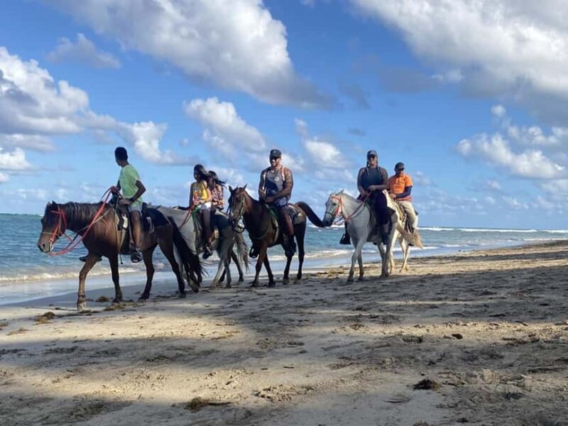 Bayahibe: Buggy and Horseback Riding Tour - Final Thoughts