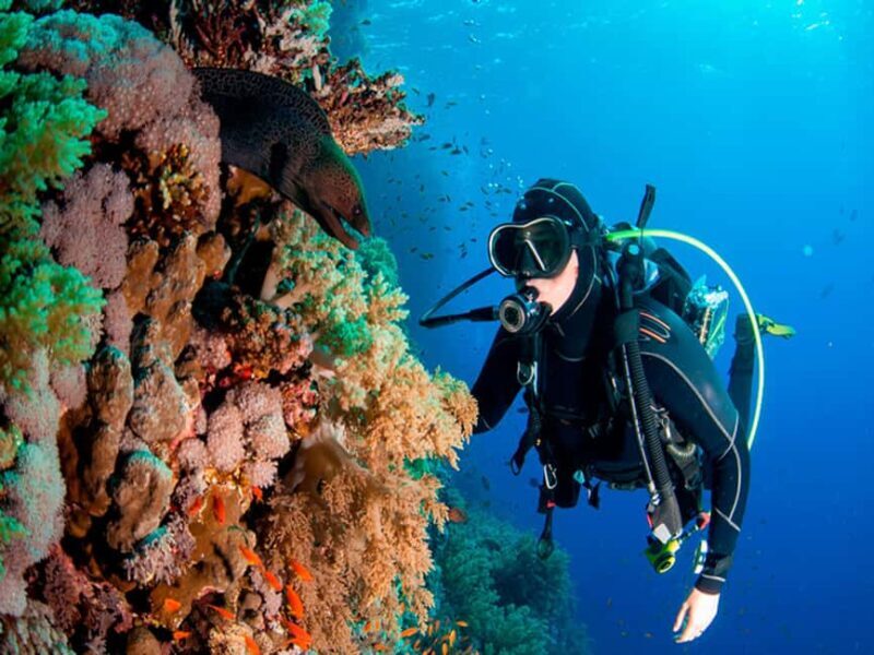 Bayahibe: Catalina Island Scuba Diving Tour with Lunch - Discovering Catalina Island through a Scuba Diving Tour from La Romana