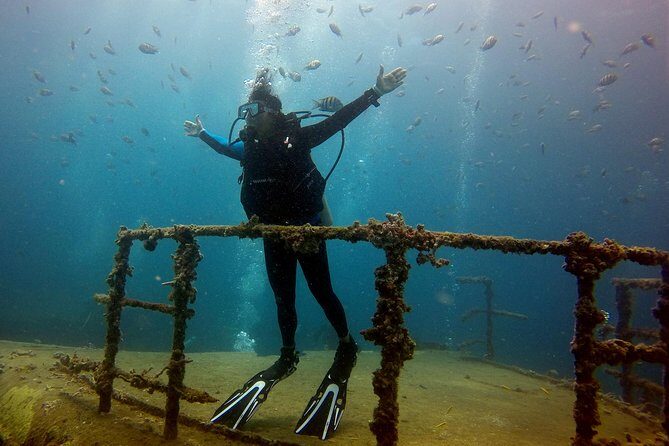 Bayahibe Diving - Introduction: What makes Bayahibe Diving so special?