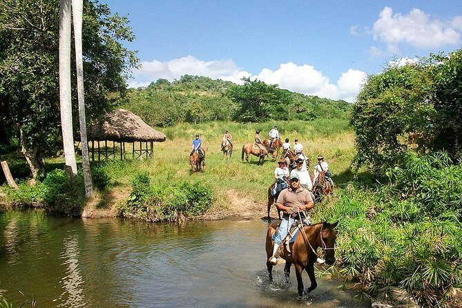 Bayahíbe Horseback Riding & River swimmig - Exploring the Details of the Tour