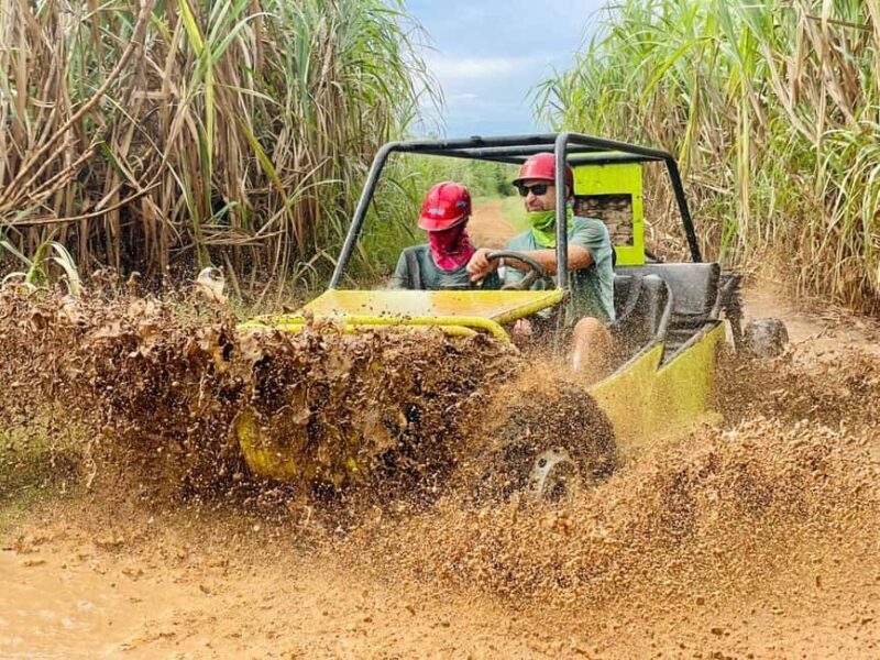 Bayahibe: Jungle Off-Road Buggy Adventure - An In-Depth Look at the Jungle Off-Road Buggy Adventure