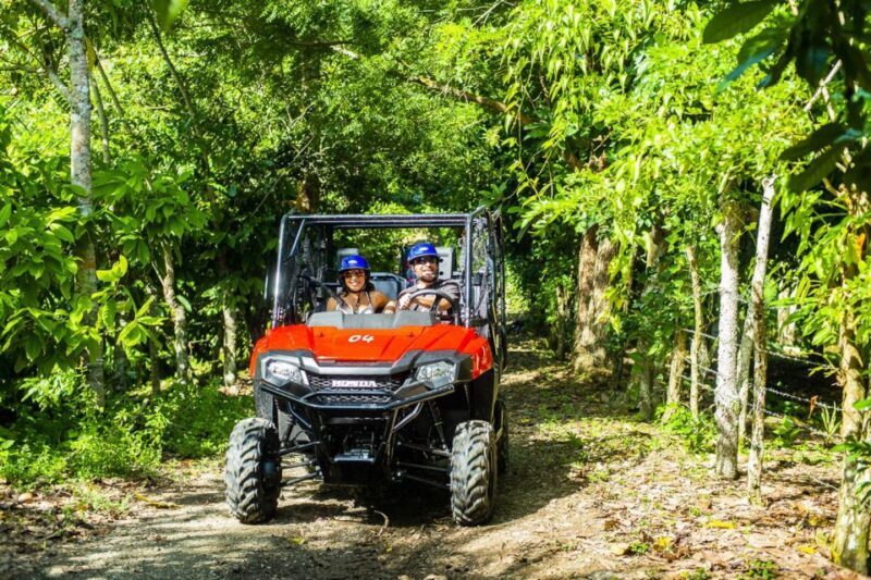 Bayahibe/La Romana: 4x4 Buggy and Monkeyland Tour - Key Points