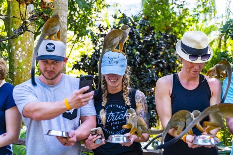 Bayahibe/La Romana: 4x4 Buggy and Monkeyland Tour - The Sum Up: A Genuine, Active Day with Local Charm