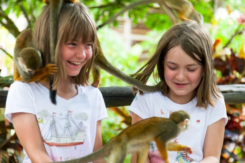 Bayahibe/La Romana: 4x4 Buggy and Monkeyland Tour - FAQ