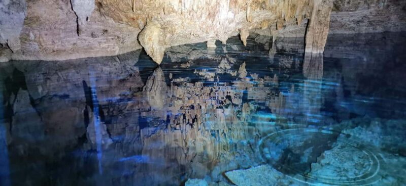 Bayahibe: National Park Jungle Walk & Snorkeling in Cenotes - An in-depth look at the Bayahibe: National Park Jungle Walk & Snorkeling in Cenotes