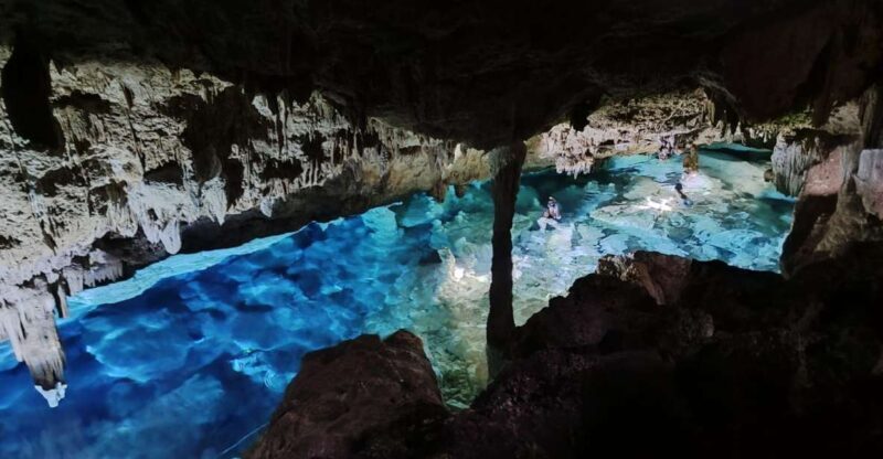 Bayahibe: National Park Jungle Walk & Snorkeling in Cenotes - The journey into the park and jungle walk