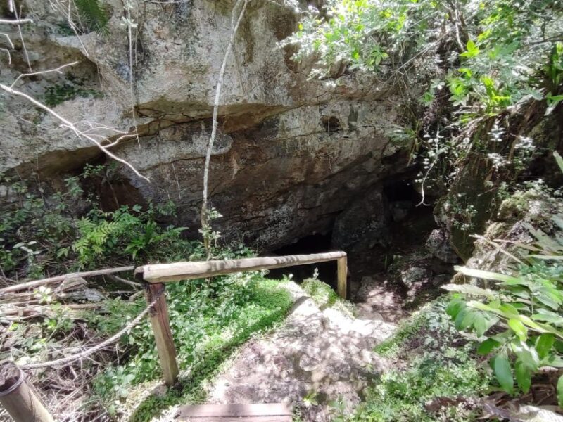Bayahibe: National Park Jungle Walk & Snorkeling in Cenotes - The natural beauty of the cave formations