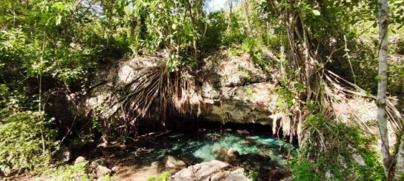 Bayahibe: National Park Jungle Walk & Snorkeling in Cenotes - Why this tour stands out