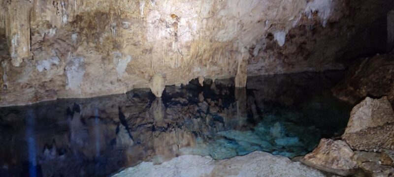 Bayahibe: National Park Jungle Walk & Snorkeling in Cenotes - Who will love this tour?