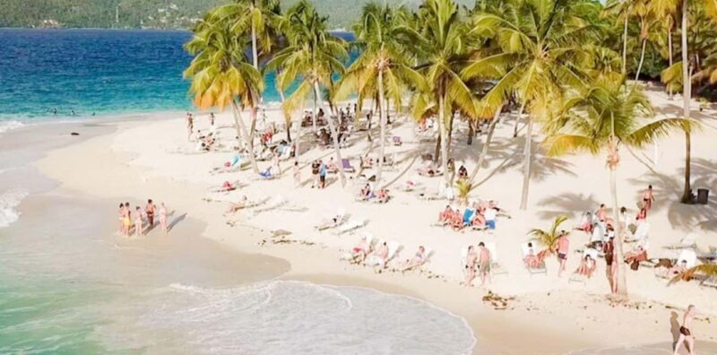 Bayahibe: Samaná and Miches Whale Watching Day Trip - Who Will Love This Tour?