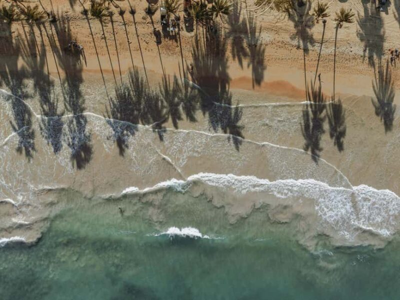 Bayahibe: Saona Island Boat Tour Small Group - Key Points