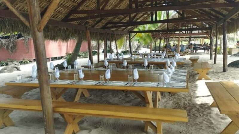 Bayahibe: Saona Island Catamaran Tour with Lunch & Drinks - Key Points