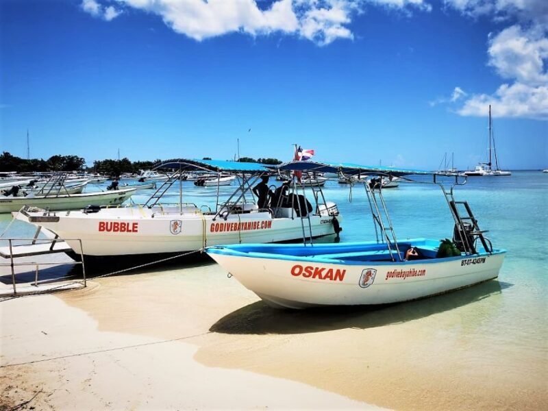 Bayahibe: Scuba Diving Initiation by Go Dive Bayahibe - Final Thoughts