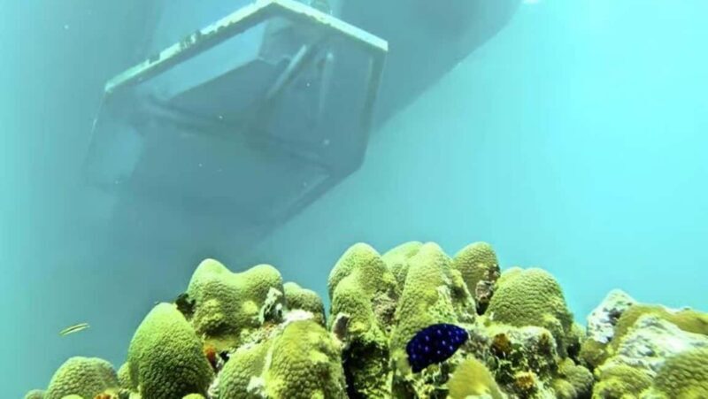 Bayahibe: Semi-Submarine Tour with Snorkeling & Drinks - Frequently Asked Questions