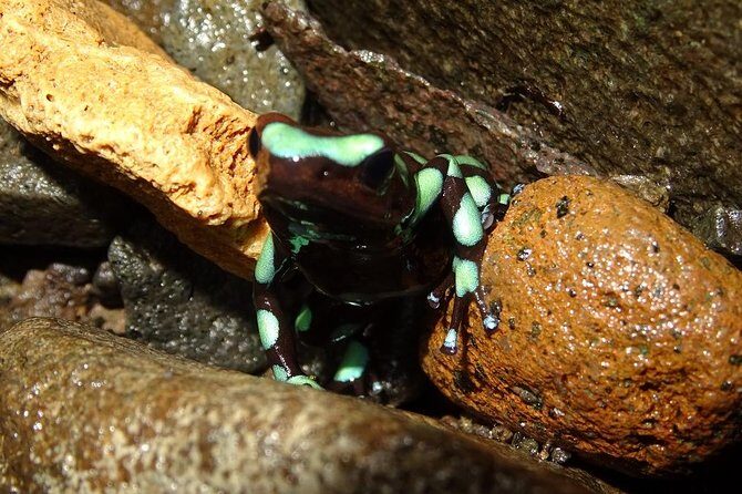 Bayano Canyoning from Panama City - Explore Panama’s Hidden Caves and Indigenous Communities with Bayano Canyoning