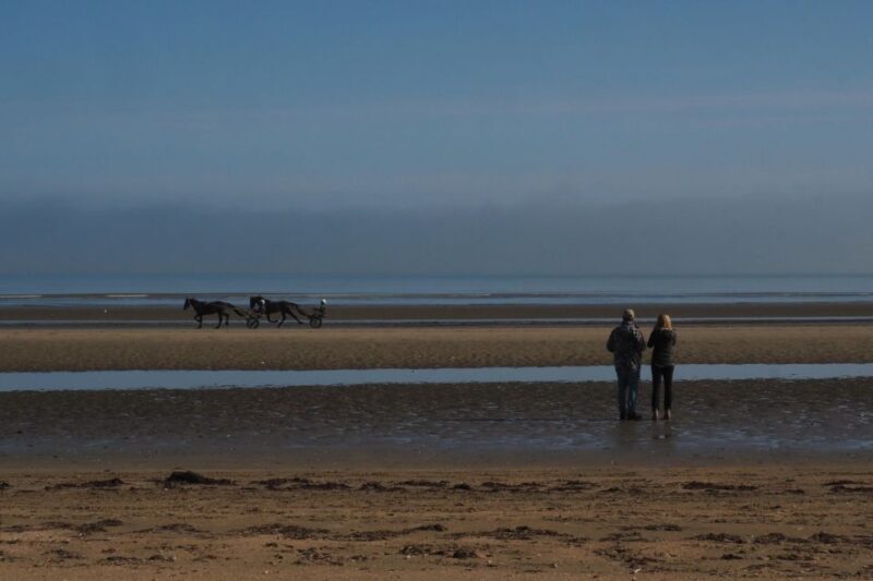 Bayeux : D-Day landing beaches Full-day excursion - Key Points