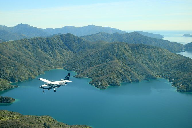 Bays and Bush Flight Scenic Tour - An In-Depth Look at the Bays and Bush Flight Scenic Tour