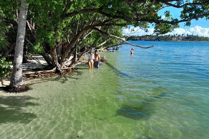 Bayside Market Place Snorkeling for Beginners - The Practicalities
