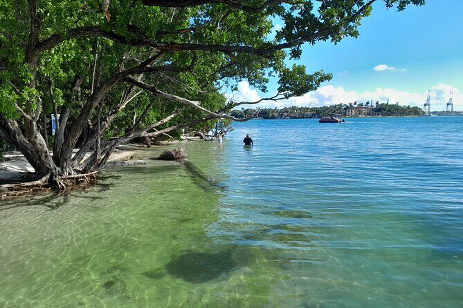 Bayside Market Place Snorkeling for Beginners - The Sum Up