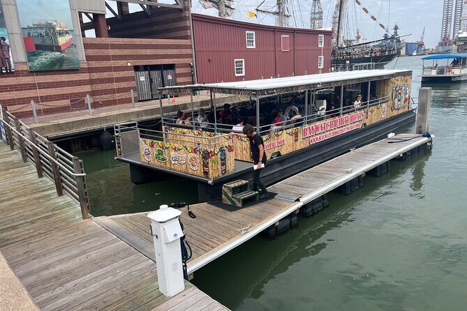 Baywatch Dolphin Tour - Discover Galveston’s Wildlife on the Baywatch Dolphin Tour