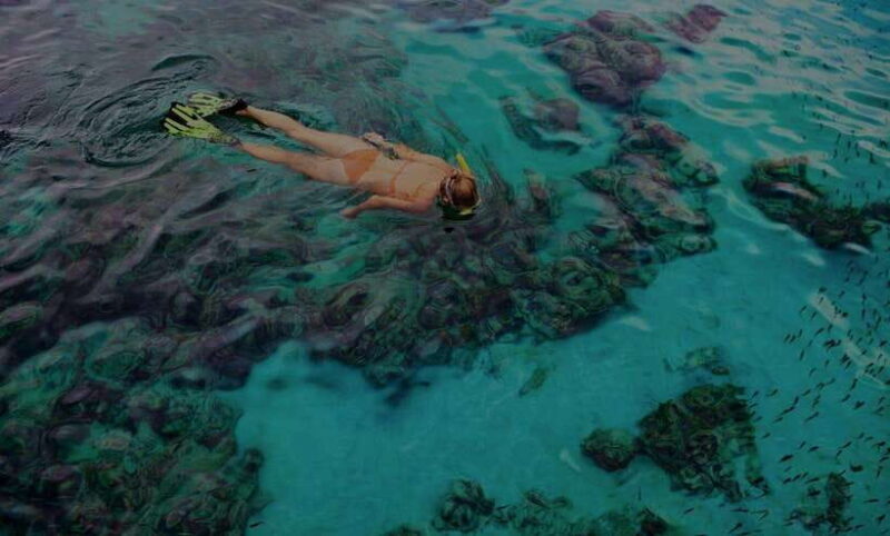 BBQ and sunset party on the island in Phu Quoc - FAQ