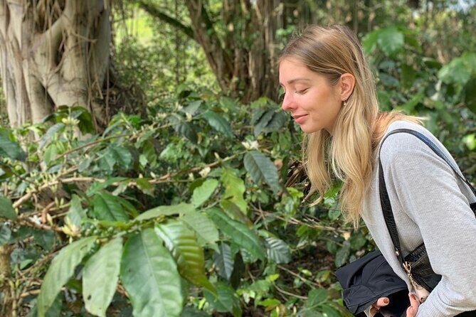 Be a farmer for one day (Coffee farm experience) - A Deep Dive Into the Coffee Farm Experience Near Bogotá
