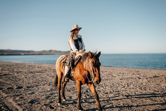 Beach and Desert Scenic Horseback Ride in Baja California Sur - FAQ