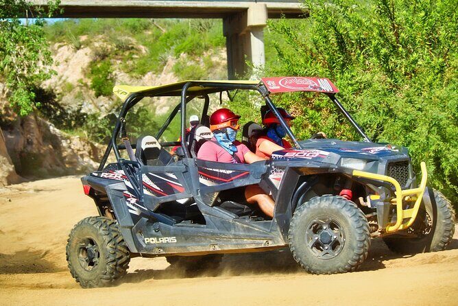 Beach and Desert UTV with Horseback Riding Experience - Beach and Desert UTV with Horseback Riding Experience: A Balanced Look