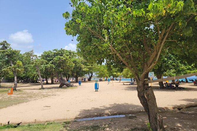 Beach and Ojo de Agua Experience! - Final Thoughts: Is It Worth It?