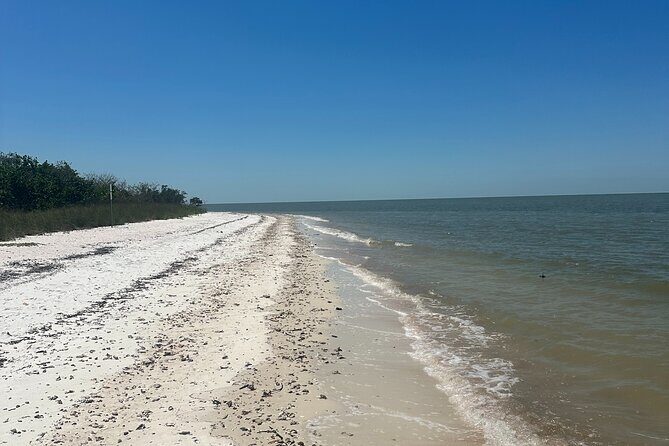 Beach and Shelling Excursion - Public - The Itinerary and What You Can Expect