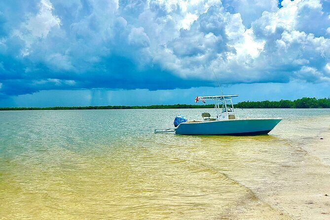 Beach and Shelling Excursion - Public - Authenticity and Connection