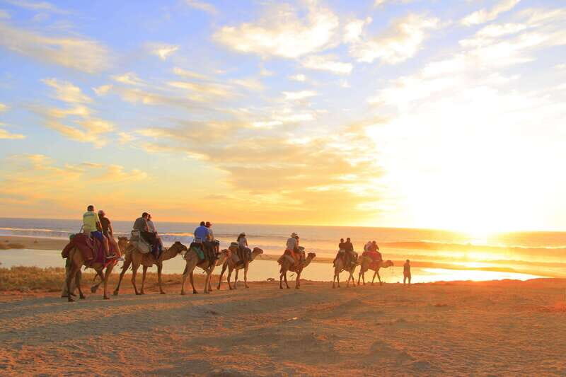 Beach ATV & Camel Ride COMBO in Cabo by Cactus Tours Park - Key Points