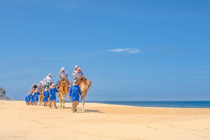 Beach Camel Ride and All-inclusive Beach Club - Exploring the Details: What to Expect from This Tour