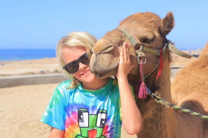 Beach Camel Ride & Encounter in Cabo by Cactus tours park - An In-Depth Look at the Beach Camel Ride & Encounter Experience