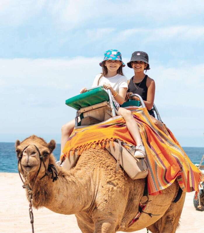 Beach Camel Ride & Encounter in Cabo by Cactus tours park - Authenticity and Value: What You Really Get