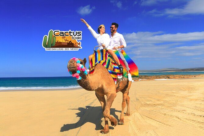 Beach Camel Ride & Encounter in Cabo - Key Points