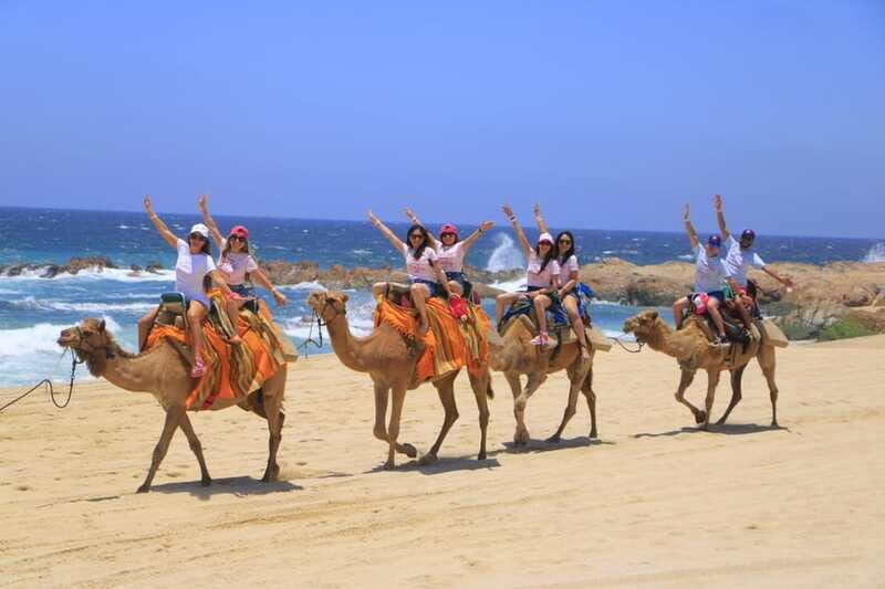 Beach CAN-AM SXS X3 & Camel Ride in Cabo by Cactus Tours - The Sum Up