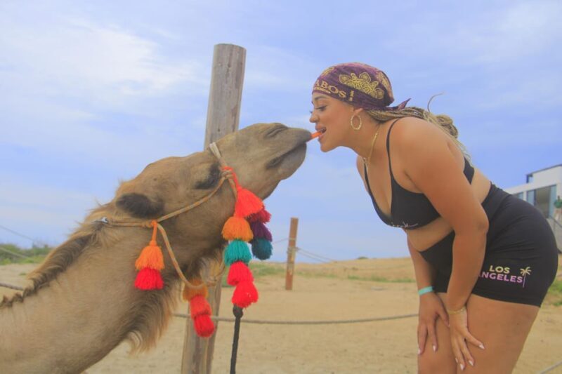 Beach CAN-AM SXS X3 & Camel Ride in Cabo by Cactus Tours - FAQ