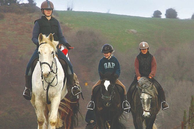 Beach & countryside horse riding outside Westport. Guided. 1 hour - Discover the Beauty of Ireland’s Coastline on Horseback