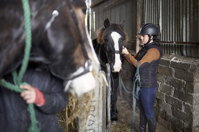Beach & countryside horse riding outside Westport. Guided. 1 hour - Key Points