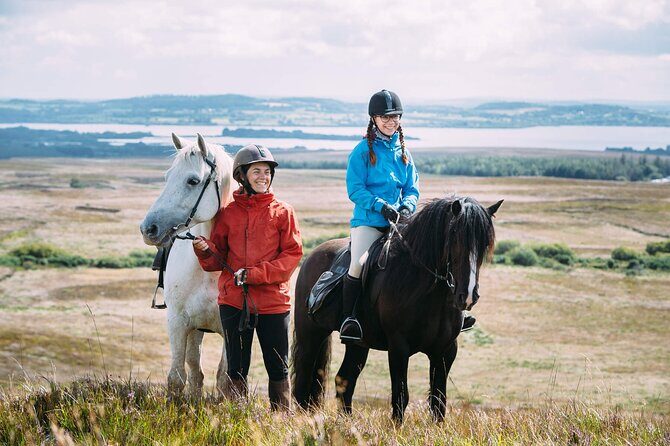 Beach & countryside horse riding outside Westport. Guided. 1 hour - Who Will Love This Tour?