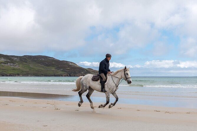 Beach & countryside horse riding outside Westport. Guided. 1 hour - FAQ